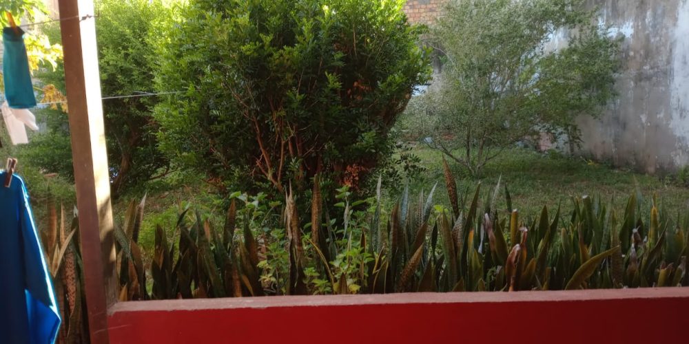 06e6ba20-7800-4786-9d70-fb6540c0df0b