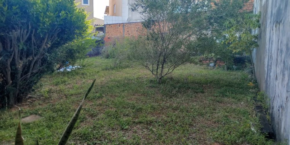 cd75ba65-416c-4f8c-a1e7-abfab9f069e8